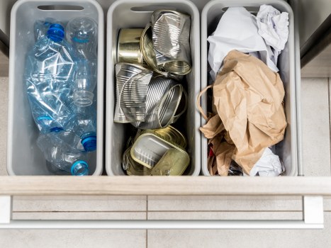 Eco-friendly waste disposal solutions for businesses